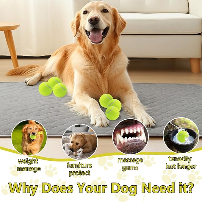 Swingers Squeaky Tennis Balls for Dogs,2.5 inch Training Tennis Balls,Exercise Ball for Pet Dog with Mesh Carry Bag Easy to Transport (Yellow, 6 Pack)