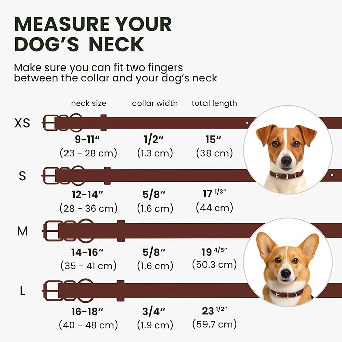 BRONZEDOG Rolled Leather Dog Collar for Small Medium Large Dogs with QR ID Tag (S: 12-14 Inch, Chocolate Brown)