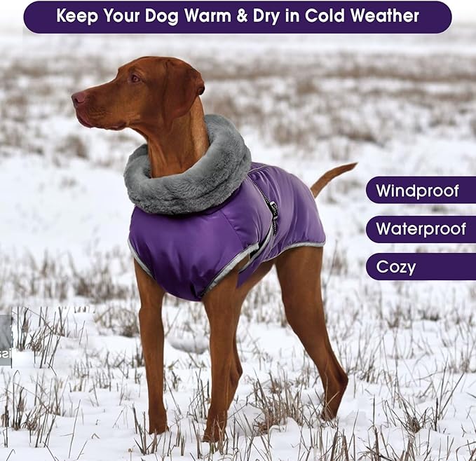 Warm Dog Coat Reflective Jacket,Size S Waterproof Winter Coat Turtleneck Dog Clothes for Cold Weather,Thick Fleece Snowsuit Christmas Vest for Small Dogs,Thermal Cold Weather Coats,Purple,S