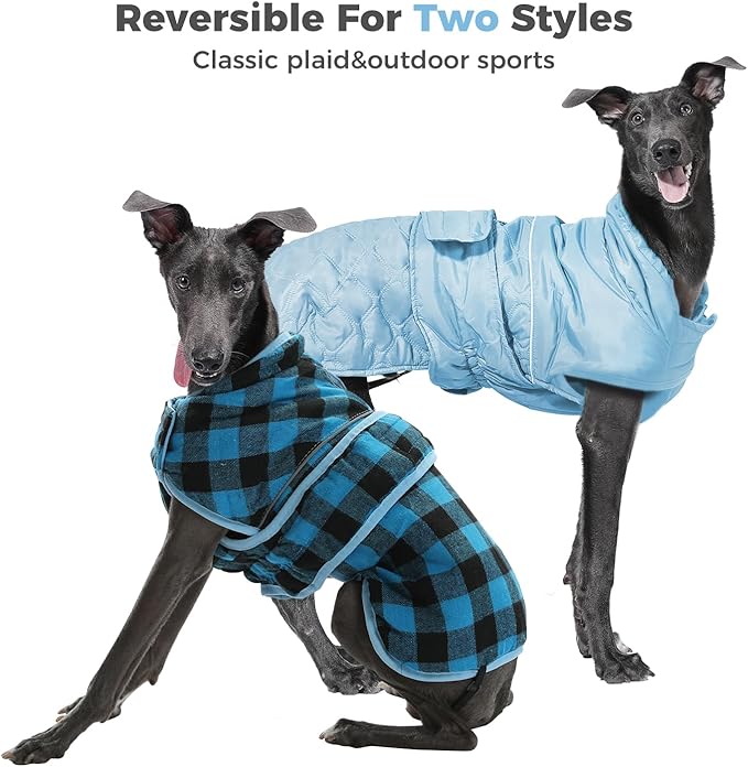 PAWZ Road Dog Winter Coat with 5 Layers Warm Material, Reversible Dog Clothes with 2 Sides, Dog Jacket Outdoor Water Repellent, (Blue Plaid XS)