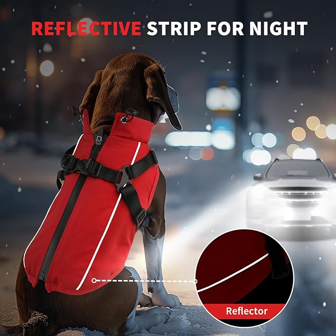 Dog Winter Coat Reflective Water-Resistant Jacket, Fleece Lined Windproof Puppy Coat with Back Zipper & D-Ring, Cold Weather Dog Coats for Small Medium Large Dogs (M, Red)