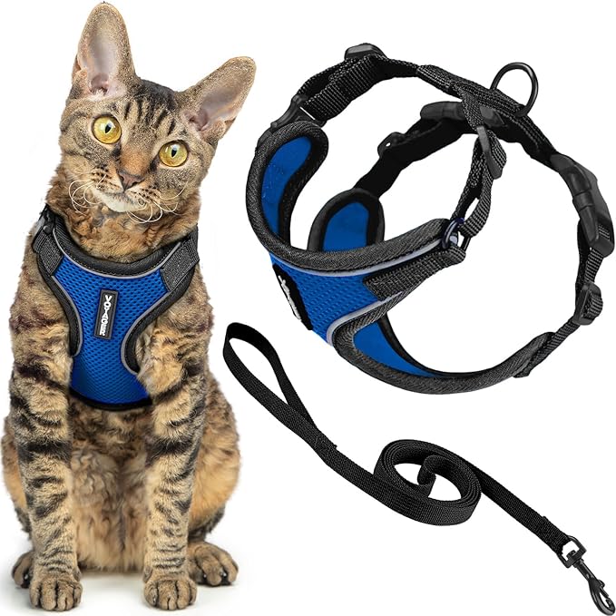 Voyager Escape Proof Cat Harness and Leash Set with Reflective Stitching, Neoprene Handle 5ft - Supports Small, Medium and Large Cats, Kittens for Walking by Best Pet Supplies - BT-Royal Blue, XXS