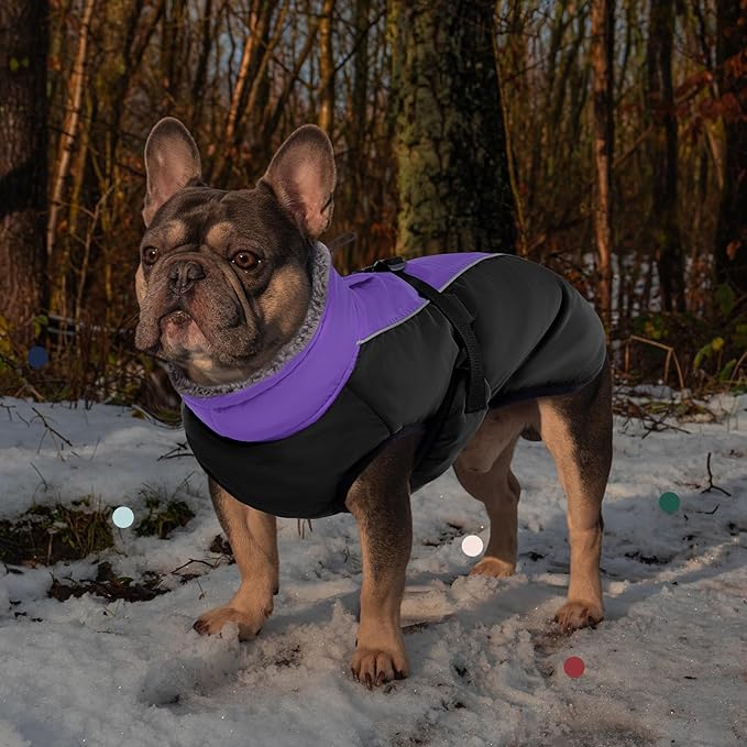 IECOii Extra Warm Dog Coat - Reflective Adjustable Jacket With Buckle Fleece Turtleneck for Cold Weather - Soft Winter Coat for Small Medium Extra Large Dogs