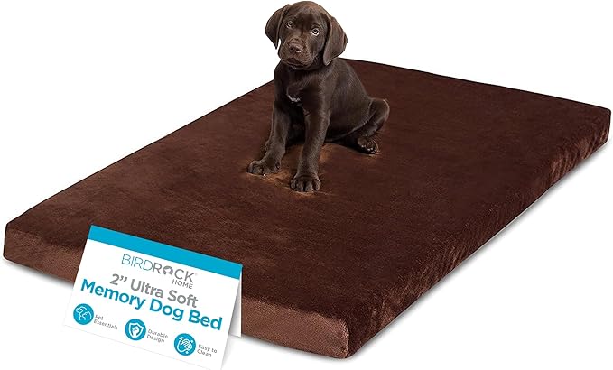 BIRDROCK HOME Large Brown