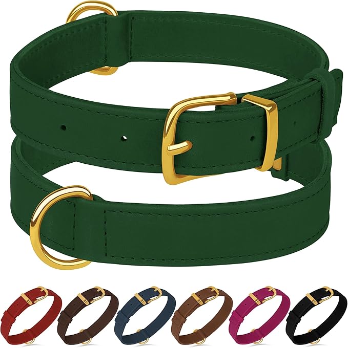 Leather Dog Collar - Heavy Duty Adjustable Soft Padded Pet Collars for Small Medium Large Dogs Breed - Black Green Brown Pink Red Blue (Green, L, 15"-19" Neck Fit)