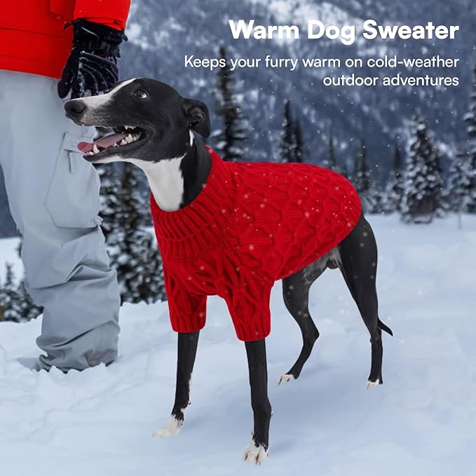 Queenmore Small Dog Sweater,Warm Pullover Dog Sweaters for Small Dogs Boys Girls,Soft Winter Doggie Sweaters,Thick Warm Dogs Clothes for Chihuahua,Dachshund,Yorkie(Red,S)