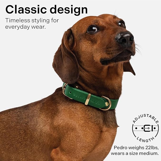 Classic Genuine Leather Dog Collar | Dog Collars for Medium Dogs, Small Dogs, Large Dogs & Extra Large Dog | Wide Dog Collar | Heavy Duty Dog Collar (Green, S: 0.5" Wide for 7.5"-10.5" Neck)
