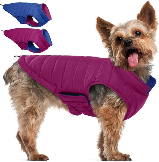 QBLEEV Reversible Dog Jacket for Small Dogs, Waterproof Windproof Warm Winter Coat with Adjustable Fit & Leash Hole, Lightweight Reversible Puffer Vest, Purple, S – Fits Yorkie, Shih Tzu