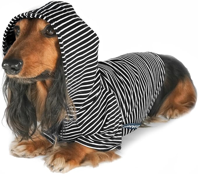 DJANGO Dog Hoodie – Warm, Lightweight, Soft & Stretchy Dog Sweater with Hood, Harness Hole & Elastic Waistband – Cozy Sweatshirt for Small Dogs up to 25 lbs, Dachshunds & Puppies – Black, Small