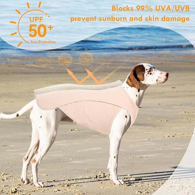 2 Pack Dog T-Shirt Quick Dry, Summer Breathable Cooling Vest, Sun Protection UPF50+ for Sensitive Skin, Stretchy Freedom of Movement for Walk, Purple+Pink, L