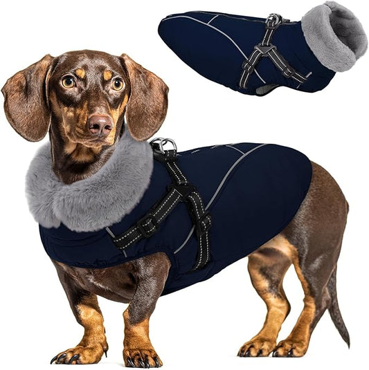 Queenmore Small Dog Coat,Dog Coat for Small Dogs,Reflective Windproof Dogs Jackets with Built-in Harness,Doggy Winter Jacket with Zipper On Back,Warm Pet Coats with Fleece Lining,NavyBlue,S