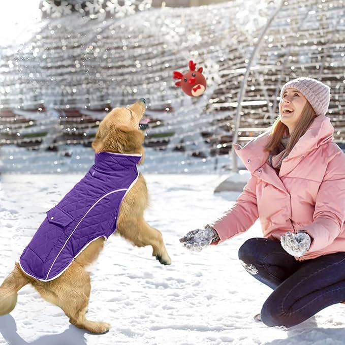 Malier Dog Winter Coat, Windproof Dog Cold Weather Coats with Real Pocket, Winter Extra Warm Pet Coat Fleece Jacket Reflective Clothes for Small Medium Large Dogs and Puppy (Purple, XXX-Large)