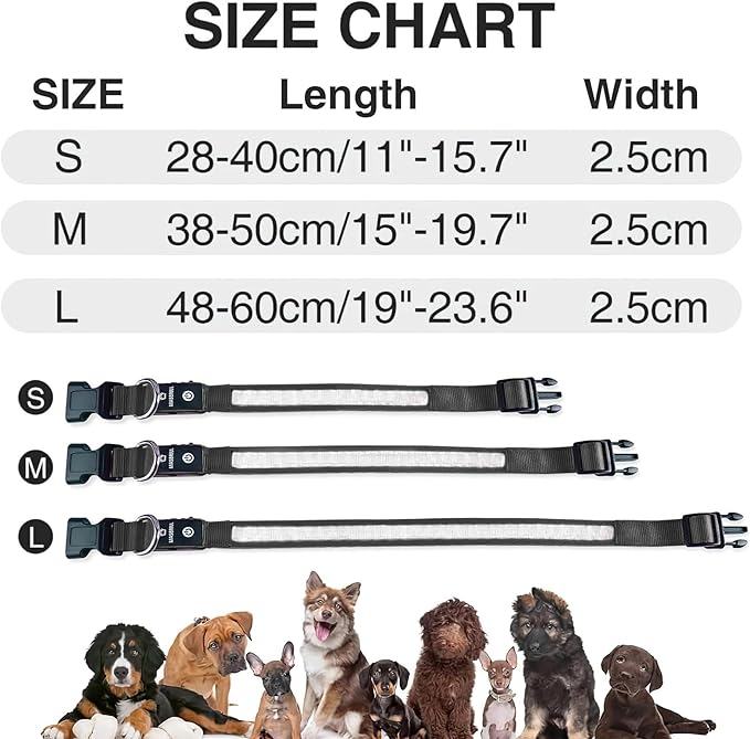 MASBRILL Light Up Dog Collars - LED Dog Collar Rechargeable Lighted Dog Collar Resistant-Water Night Walking Glow Dog Collars