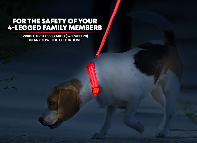 ILLUMISEEN LED Dog Collar USB Rechargeable - Bright & High Visibility Lighted Glow Collar for Pet Night Walking - Weatherproof, in 6 Colors & 6 Sizes (Red Medium)