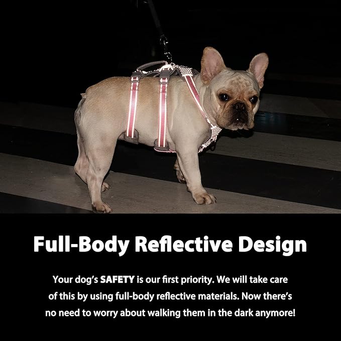 Huntboo Escape Proof Dog Harness, No Pull Reflective Harness with Lift Handle, Adjustable Pet Vest with Front and Back Leash Clips for Small Medium Large Dogs Walking Hiking Training (Pink,L)