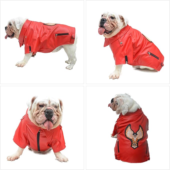 Lovelonglong Cool Dog Leather Jacket, Warm Coats Dogs Windproof Cold Weather Coats for Large Medium Small Dogs with Eagle Embroidery Red B-S