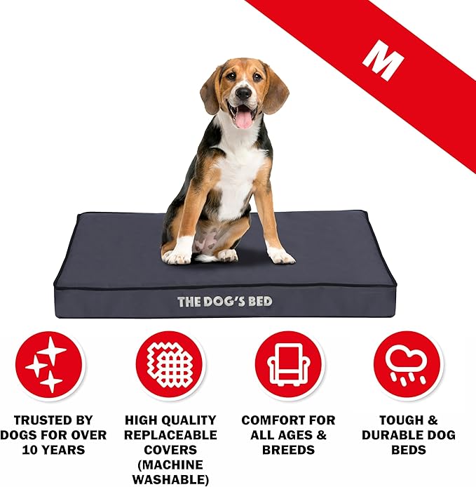 The Dog’s Bed Orthopedic Dog Bed, Medium Grey with Black Trim, Waterproof, Supportive Dog Bed with Washable Replaceable Covers