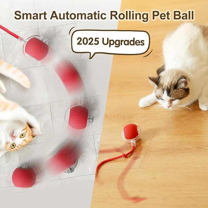 Interactive Cat Toy Ball, 2025 Upgraded Cat Toys for Bored Indoor Adult Cats, Self Rolling Interactive Dog Ball Toy, Automatic Smart Pet Toy Ball Kitten Toys (Gray)