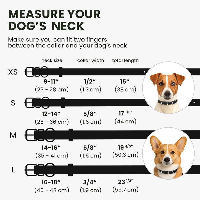 BRONZEDOG Rolled Leather Dog Collar for Small Medium Large Dogs with QR ID Tag (XS: 9-11 Inch, Glossy Black)