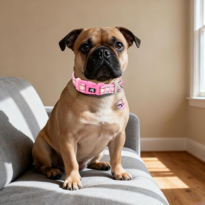 Small Dog Collar with Bell - Reflective Nylon Dog Collar for Small Breeds, Adjustable XXS/XS Tiny Chihuahua Pomeranian Yorkie Collar for Night Walks & Indoor Play（Daisy S）