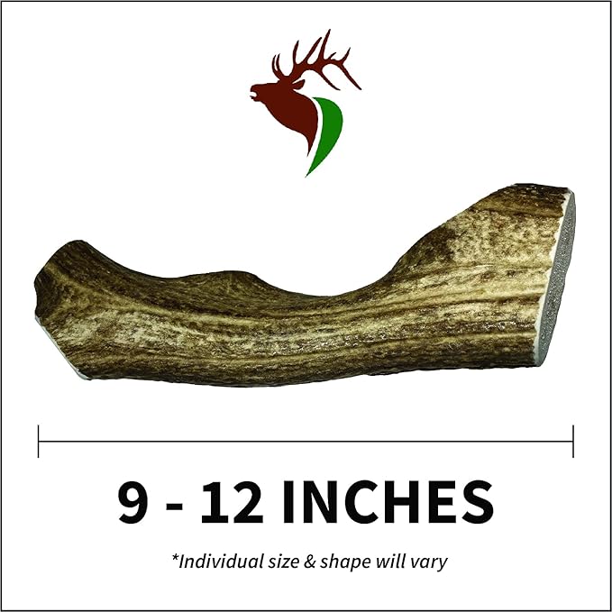Monster Whole Single Pack (for 90+ lb Dogs) Premium Grade Elk Antler for Dogs (1 Piece) Sourced in The USA