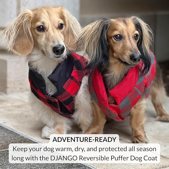DJANGO Reversible Puffer Dog Coat – Warm Winter Dog Jacket & Water-Repellent Insulated Dog Coat with Harness Hole, Windproof, Adjustable Fit Vest for Small & Medium Dogs, Dachshunds – Black, X-Small