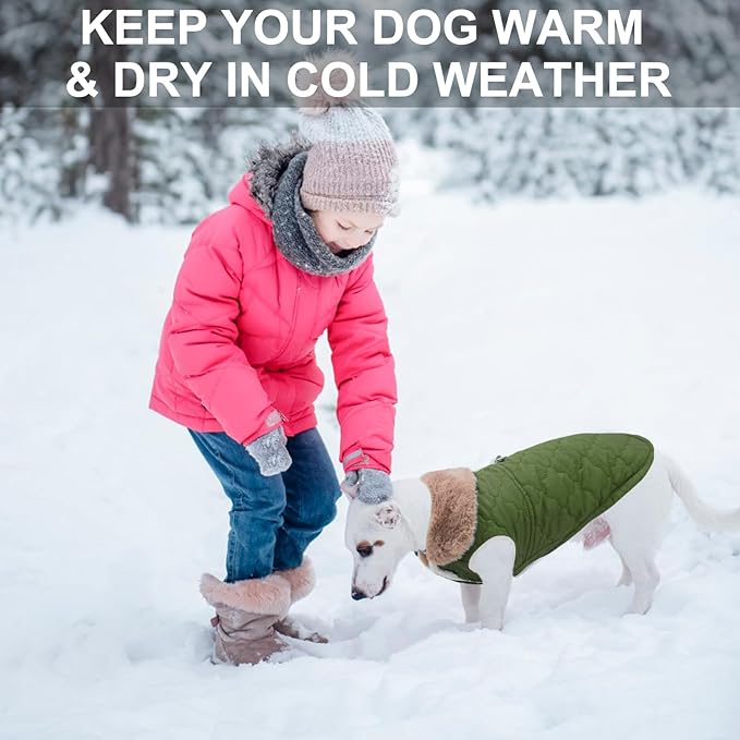 BEAUTYZOO Winter Dog Coat with Harness Built in, Warm Dog Puffer Jacket Vest Padded Fleece Cold Weather Coats Windproof Waterproof Snow Jackets Clothes for Small Medium Puppy, Green L