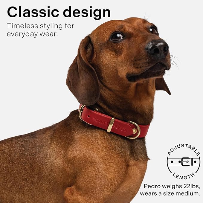Classic Genuine Leather Dog Collar | Dog Collars for Medium Dogs, Small Dogs, Large Dogs & Extra Large Dog | Wide Dog Collar | Heavy Duty Collar (Red, Large)