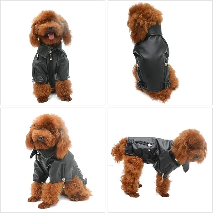 Lovelonglong Cool Dog Leather Jacket, Warm Coats Dogs Windproof Cold Weather Coats for Large Medium Small Dogs, Miniature Poodle Clothing Black L