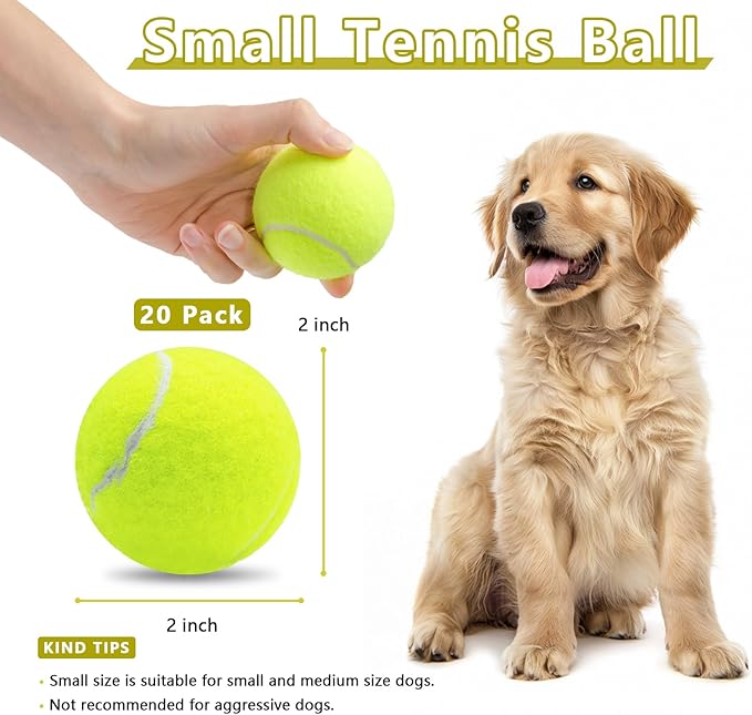 Magicorange 20 Pack Small Tennis Balls, 2 inch Squeaky Tennis Ball for Dogs,Colorful Easy Catching Squeaky Dog Balls with Mesh Bag for Easy Transport (Multicolor)