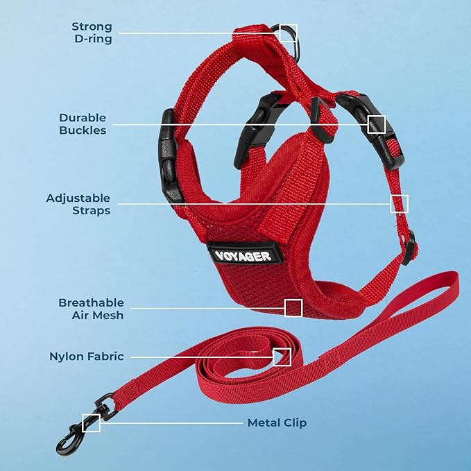 Voyager Step-in Lock Adjustable Cat Harness w. Cat Leash Combo Set with Neoprene Handle 5ft - Supports Small, Medium and Large Breed Cats by Best Pet Supplies - Red, XS