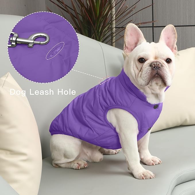 2 Layers Fleece Lined Warm Dog Jacket for Puppy Winter Cold Weather,Soft Windproof Small Dog Coat,Purple XS