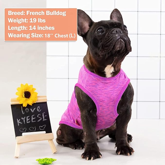 KYEESE 2 Pack Dog Shirts Quick Dry Soft Stretchy Sun Protection Dog T-Shirts with Reflective Label Tank Top Sleeveless Vest Pet Clothes for Small Medium Pet, Large, Purple+Pink