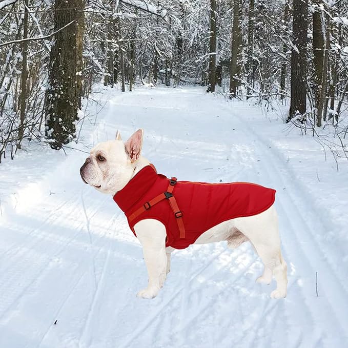 Geyecete Winter Warm Coat Waterproof Dog Winter Jacket with Harness Traction Belt,Windproof Pet Outdoor Jacket Dog Autumn-Red-XXL