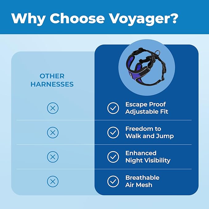 Voyager Escape Proof Cat Harness and Leash Set with Reflective Stitching, Neoprene Handle 5ft - Supports Small, Medium and Large Cats, Kittens for Walking by Best Pet Supplies - BT-Royal Blue, S