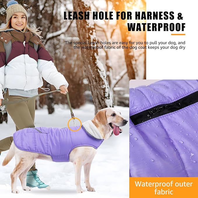 iBuddy Dog Winter Jackets with Fleece Vest,Waterproof Warm Dog Snow Jacket Windproof, Reflective Adjustable Pet Dogs Cold Winter Coat for Large Dogs Girl Boy