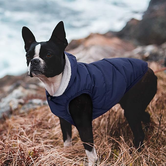 Windproof Waterproof Dog Coat Fleece & Cotton Lined Warm Jacket, Cold Weather Pet Apparel Clothes Vest for Small to Large Dogs (L, Blue)