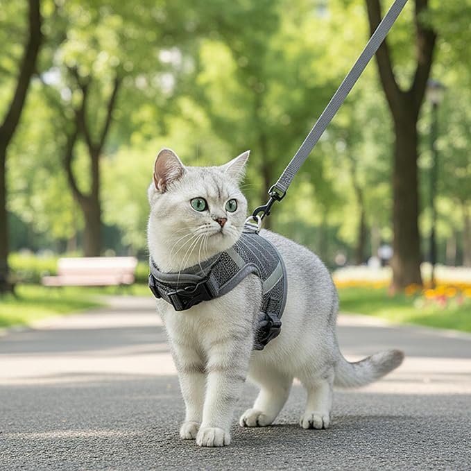 Cat Harness and Leash Escape Proof Kitten Harness Cat Leash for Walking Travel Service Cat Vest, Grey, Large