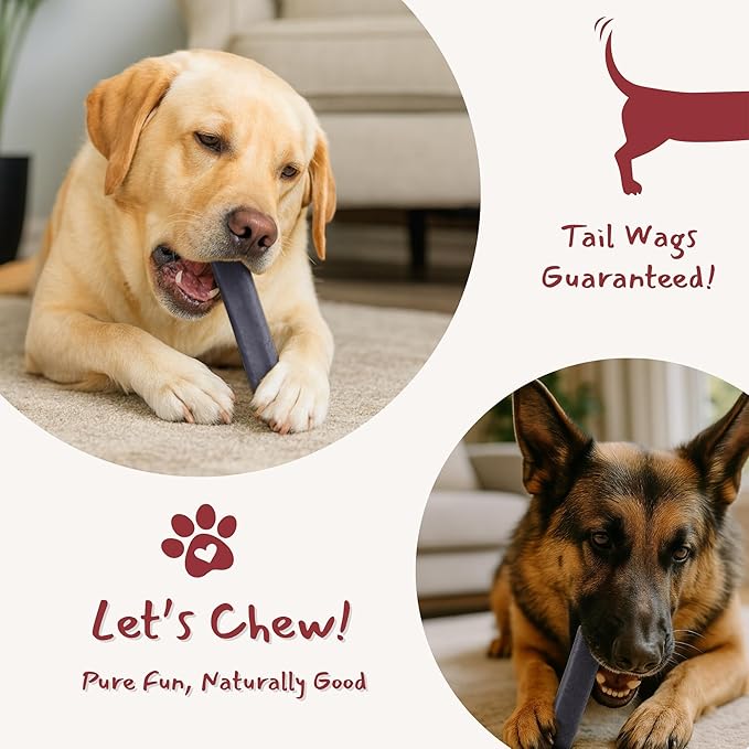 Majestic Pet Himalayan All-Natural Yak Cheese Dog Chews Made with 100% Cows Milk- Long Lasting Dental Chew for Dogs - Healthy Pet Treats (Cognitive Support & Vitality, Large, 1 Pack)