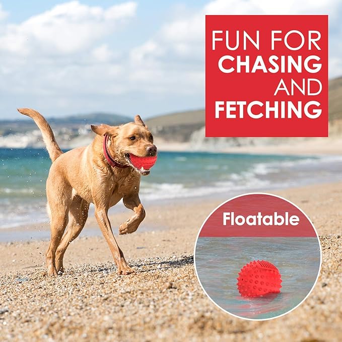 petizer 4" Squeaky Dog Balls for Aggressive Chewers, Durable Interactive Dog Chew Toys for Teething, Floatable Indestructible Rubber Spiky Ball, Tough Pet Toys for Small, Medium & Large Breeds