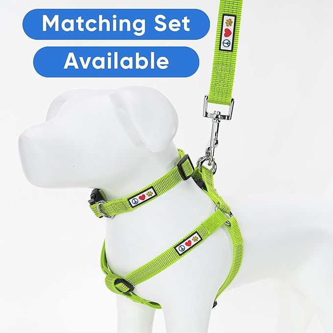 Pawtitas 6 FT Pet Puppy Leash Reflective Dog Leash Comfortable Handle Highly Reflective Threads Heavy Duty Dog Training Leash Available as a 6 ft Medium Dog Leash or Large Dog Leash Green