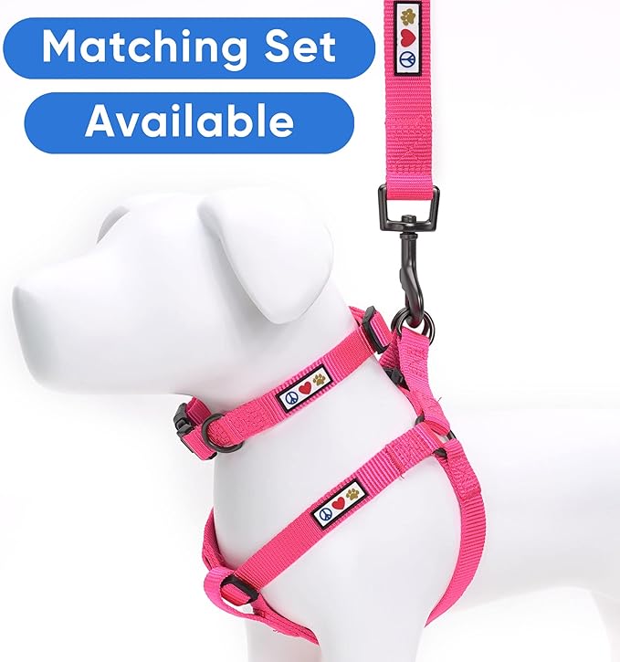Pawtitas Personalized Dog Leash - Embroidered Custom Leash with Pet Name & Phone Number, 6 ft Long, Medium to Large, Pink