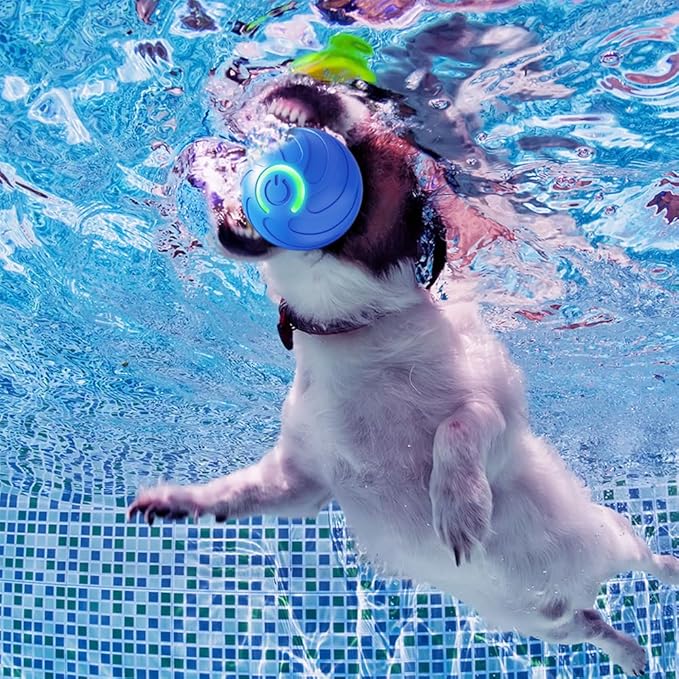 2025 New Dog Ball for Large Dogs, 2PCS Interactive Dog Ball Toy Vibrating Balls, Smart Shaking Pet Bounce Electric Balls Automatic Moving Pet Toy for All Dogs (#B2)