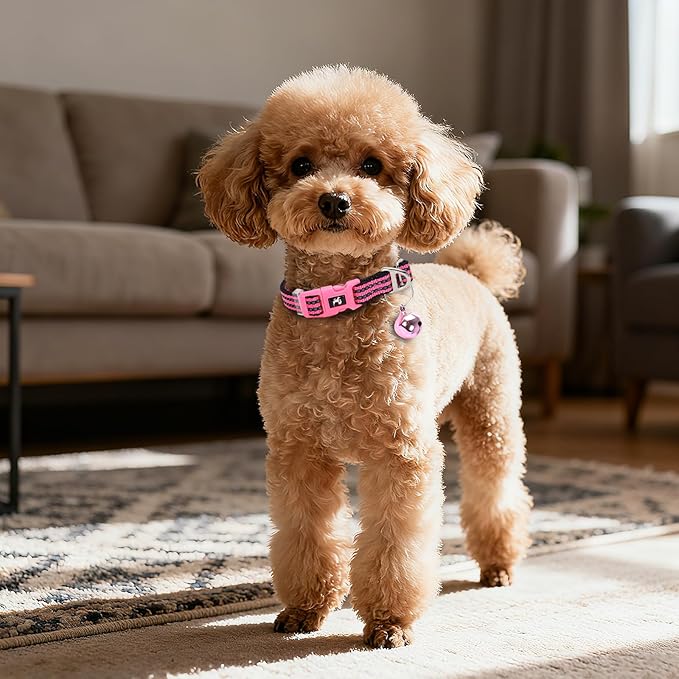 Puppy Collar with Bell Reflective - Adjustable Tiny XS XXS Breed Collar for Girl Female,Night Walk Safety Accessory（Pink XS）