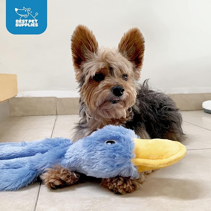 Best Pet Supplies Squeaky Dog Toys with Soft Durable Fabric for Small, Medium and Large Pets Interactive Toy for Indoor Play, Supports Active Biting and Play - Turquoise