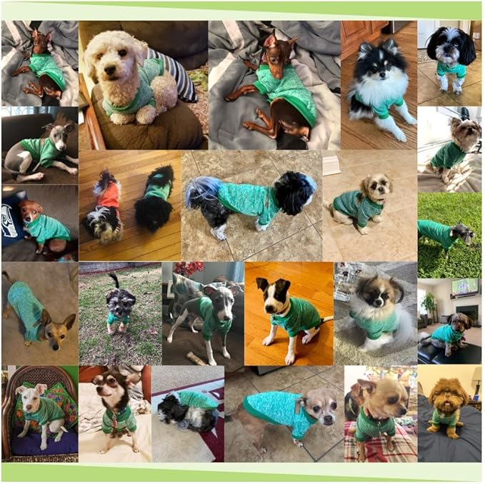 Jecikelon Dog Clothes Dogs Sweater Soft Puppies Clothing Winter Puppy Sweaters Warm Outfit for Dogs Small XXS XS Cat Apparel (Green, M)