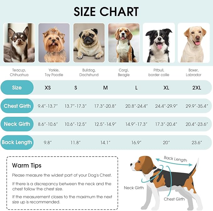 Queenmore Dog Winter Coat, Fleece Puffer Dog Down Vest, Cold Weather Pet Jacket for Dogs, Waterproof Reflective Reversible Dog Sweater Clothes for Small, Medium and Large Dogs (Light Blue, M)