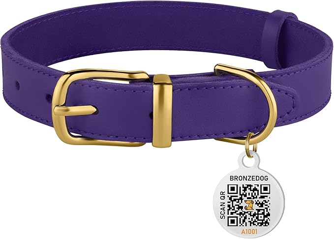 BRONZEDOG Leather Dog Collar with Metal Buckle Durable Basic Pet Collars for Small Medium Large Dogs (19-21 Inch (Pack of 1), Purple & Gold Buckle)