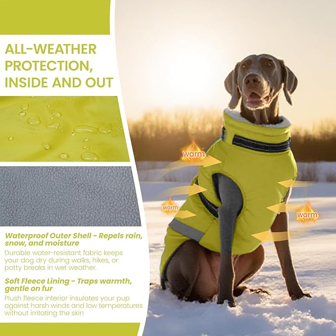 QBLEEV Dog Coat for Small Dogs, Waterproof Dog Jacket with Built-in Harness, Puppy Cold Weather Coats Reflective Vest, Windproof Warm Fleece Snowsuit Winter Coat for Chihuahua, Yorkie, Green, XS
