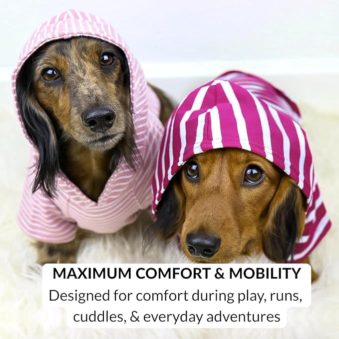 DJANGO Dog Hoodie – Warm, Lightweight, Soft & Stretchy Dog Sweater with Hood, Harness Hole & Elastic Waistband – Cozy Sweatshirt for Small Dogs up to 25 lbs, Dachshunds & Puppies – Blush Pink, Small